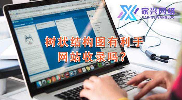 树状结构图有利于网站收录吗？