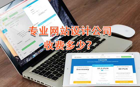专业网站设计公司收费多少？