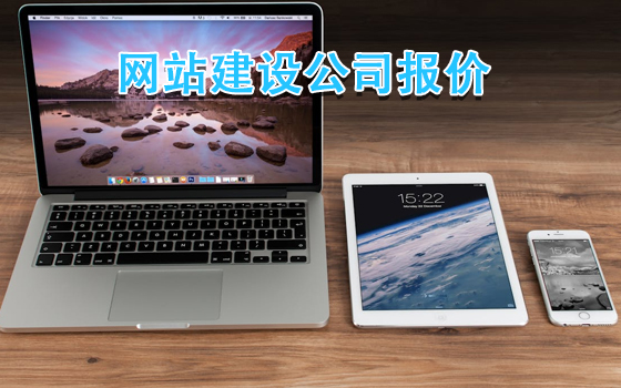 网站建设公司报价