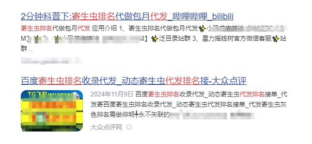 寄生虫排名代发需要用到那些技术